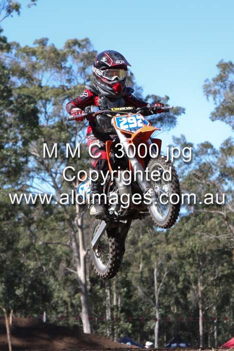 445x677 pixels (70K)